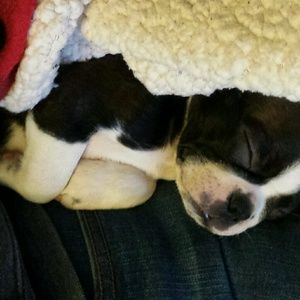 Meet your Posher, Jamie